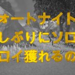 フォートナイト、ソロでビクロイは獲れるのか？