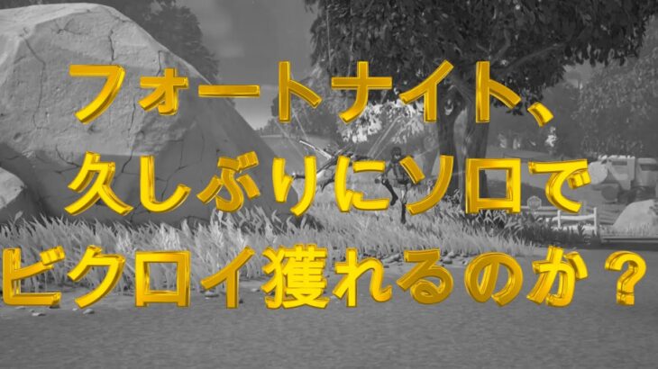 フォートナイト、ソロでビクロイは獲れるのか？