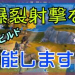 【Fortnite】爆裂銃を堪能するゼロビルド/ソロ攻略/マイクなし/バトルロイヤル/PS4【フォートナイト】