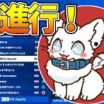 【フォートナイト】デュオキャッシュ70位 これ見れば今シーズンわかりやすいです！