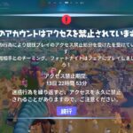 この天空城だけは絶対にするな…(即BAN)【フォートナイト/Fortnite】