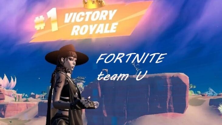 フォートナイト　FORTNITE　　ソロリベンジ