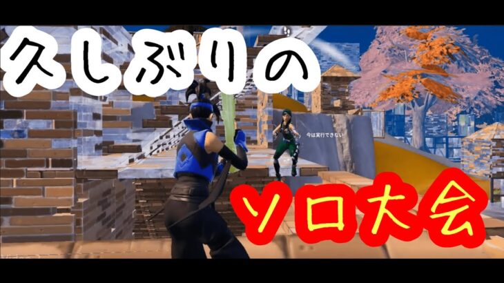 久しぶりのソロ大会。【フォートナイト/Fortnite】