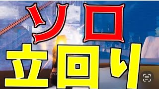 ソロキャッシュビクロイハイライト！！！ 【フォートナイト/Fortnite】