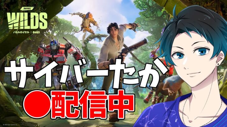 ソロ配信れつご【フォートナイト・Fortnite】