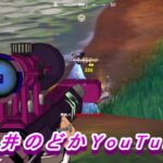 【フォートナイト/Fortnite】桜井のどか新兵（ソロ）20230608no