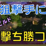 【Fortnite】狙撃手に追い詰められたけど巻き返すゼロビルド/ソロ攻略/マイクなし/バトルロイヤル/PS4【フォートナイト】