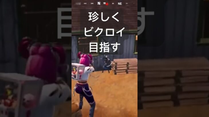 珍しくソロでビクロイ目指す #フォートナイト #ゲーム実況 #fortnite #エンジョイ勢 #初心者 #shorts