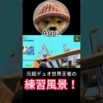 元祖デュオ世界王者Aquaの練習風景！【フォートナイト/Fortnite】【配信からの切り抜き】