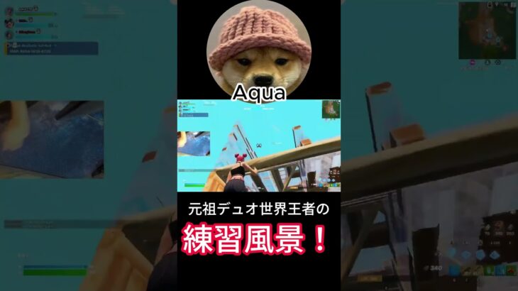 元祖デュオ世界王者Aquaの練習風景！【フォートナイト/Fortnite】【配信からの切り抜き】