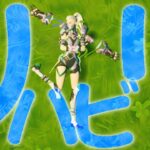 ２か月半ぶりのソロ配信【フォートナイト / FORTNITE】