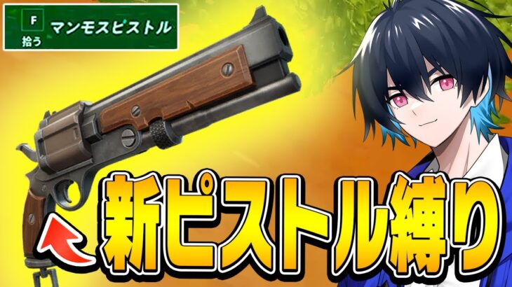 新武器「マンモスピストル縛り」で判明した「新ピストルの性能」のプロの評価は…?【フォートナイト/Fortnite】