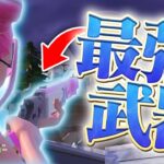 やってない間にやばい武器追加されてるｗｗ【フォートナイト/Fortnite】