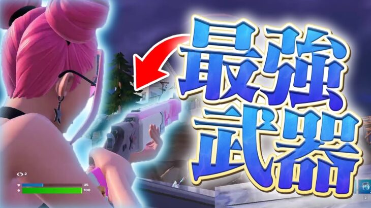 やってない間にやばい武器追加されてるｗｗ【フォートナイト/Fortnite】