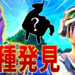 【世界初？】ネフライト『新種のラマ』を発見！？知られざるラマの新事実が明らかにｗｗｗｗｗ【フォートナイト/Fortnite】