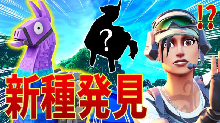 【世界初？】ネフライト『新種のラマ』を発見！？知られざるラマの新事実が明らかにｗｗｗｗｗ【フォートナイト/Fortnite】