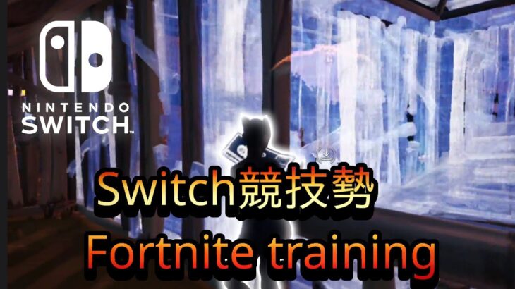 【Fortnite】スイッチ版フォートナイトソロ練習