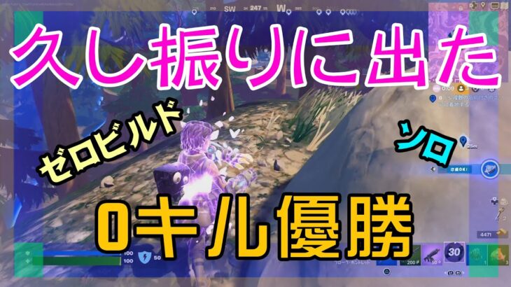 【Fortnite】今シーズン初!!ゼロキル優勝が出たゼロビルド/ソロ攻略/マイクなし/バトルロイヤル/PS4【フォートナイト】