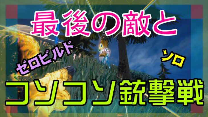 【Fortnite】最後の敵と隠れながら撃ち合うゼロビルド/ソロ攻略/マイクなし/バトルロイヤル/PS4【フォートナイト】