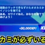 【攻略】簡単に終わる!?サマーエスケープクエスト『複数のマッチで手なずけたオオカミかイノシシを撫でる』ラグーンパーティータイム【フォートナイト】