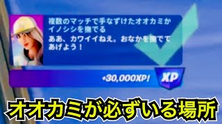 【攻略】簡単に終わる!?サマーエスケープクエスト『複数のマッチで手なずけたオオカミかイノシシを撫でる』ラグーンパーティータイム【フォートナイト】