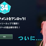 ソロビクトリーキャッシュカップ決勝の敵が強すぎるww【フォートナイト】