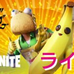 【フォートナイト/Fortnite】 今日は休み休み　ソロ配信