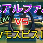 【Fortnite】MKアルファ・アサルトライフルvsマンモスピストルのゼロビルド/ソロ攻略/マイクなし/バトルロイヤル/PS4【フォートナイト】