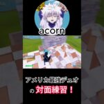 アメリカ最強acorn＆coldデュオの対面練習風景！【フォートナイト/Fortnite】【配信からの切り抜き】