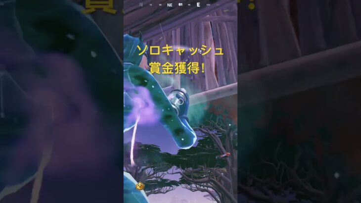 ソロ大会で賞金獲得！ #フォートナイト #fortnite #short  #shorts  #highlights #プロゲーマー #ゲーム #apexpromini #フォートナイトキル集