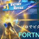 fortnite フォートナイト　ソロでビクロイしたよ〜