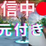 【フォートナイト】適当にソロでもやるか