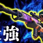 『タクティカルDMR』がぶっ壊れだと証明します。【フォートナイト/Fortnite】