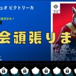 【フォートナイト】終わったらエンドゾーン   デュオビクトリーカップに参加します【 FORTNITE 】