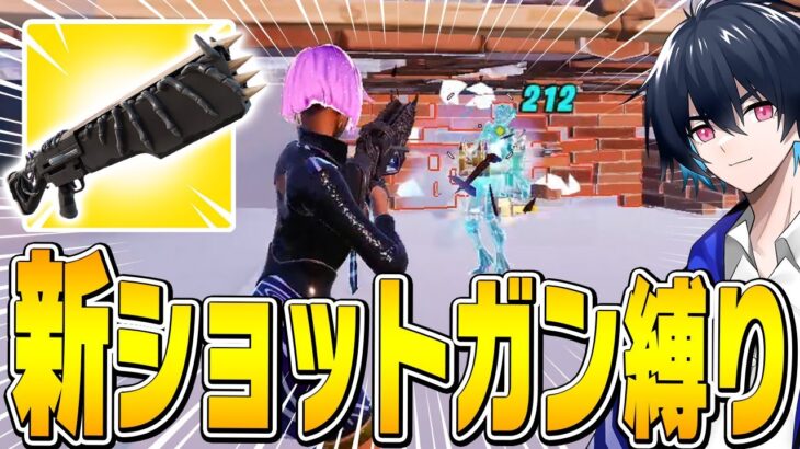 プロなら『ウッドステークショットガン』だけでアンリアル帯でビクロイできる？【フォートナイト/Fortnite】