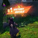 Fortnite_ソロとかデュオで１位を取れた時の記録 pvp