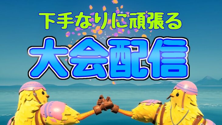 初見さん大歓迎‼️ゼロビルドデュオ決勝‼️勝つのみ‼️【Fortnite/フォートナイト】