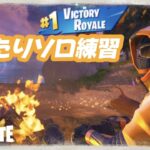 フォトナ弱者のまったりソロ練習配信[Fortnite/フォートナイト]