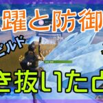 【Fortnite】跳躍と氷壁で大混戦を生き抜くゼロビルド/ソロ攻略/マイクなし/PS4【フォートナイト】