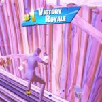 ソロ大会決勝でゴラッソきめた(100$)【フォートナイト/Fortnite】