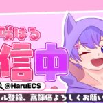 🔴A2社長さんとデュオ!!A2目標現役男子高校生の生配信‼【＃新人VTuber】【フォートナイト/Fortnite】#フォートナイトライブ #フォートナイト #fortnite