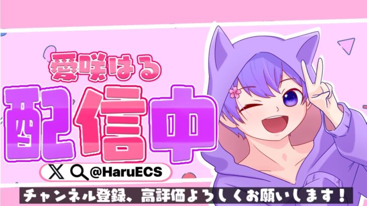 🔴A2社長さんとデュオ!!A2目標現役男子高校生の生配信‼【＃新人VTuber】【フォートナイト/Fortnite】#フォートナイトライブ #フォートナイト #fortnite