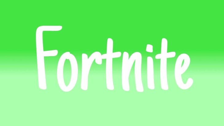 フォートナイト『FORTNITE』ソロ大会