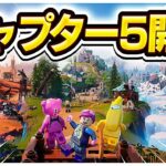 ソロ決勝！【フォートナイト/Fortnite】