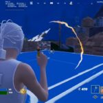 ソロ大会決勝武器なしビクロイ【フォートナイト/Fortnite】