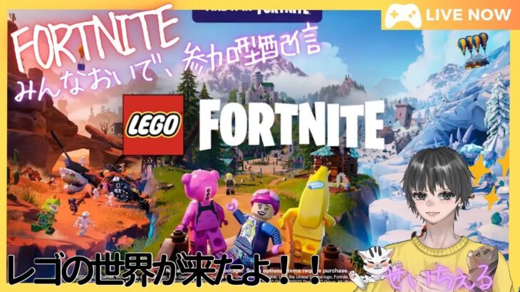 〖フォートナイト〗今日もソロでフォトナ練習！フォトナ練習中！！〖Fortnite〗＃11