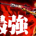 【大流行】『フルカスタムSR』が最強過ぎるｗｗ【フォートナイト/Fortnite】