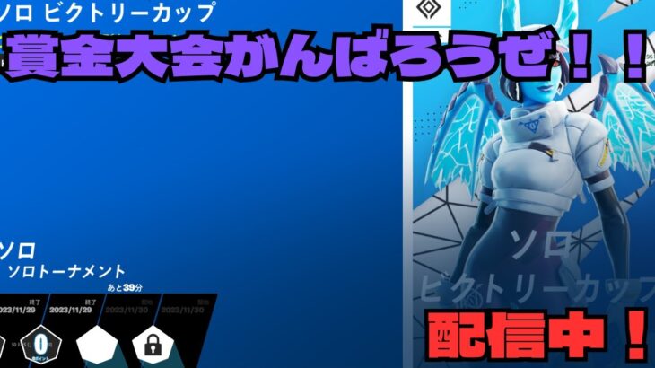 【フォートナイト】ソロ大会！負ける気しかしない！ｗ今日もランク上げしてくよ！視聴者参加型！参加は概要欄見てね🤡遅延あり