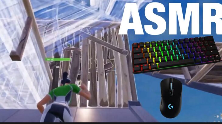 【ASMR】G403最後のASMR！Ducky one2sf &G403【フォートナイト/Fortnite】