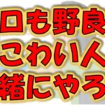 【フォートナイト/Fortnite】ソロでビクロイ難しい、、、